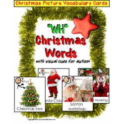 WH Christmas Words Flashcards